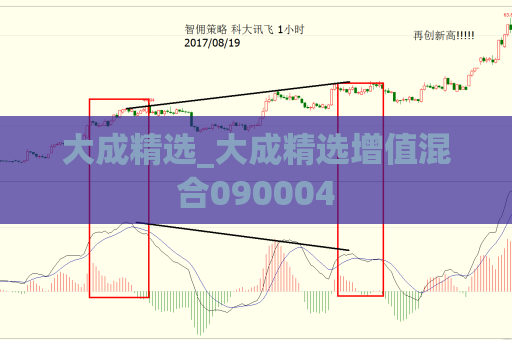 大成精选_大成精选增值混合090004  第1张