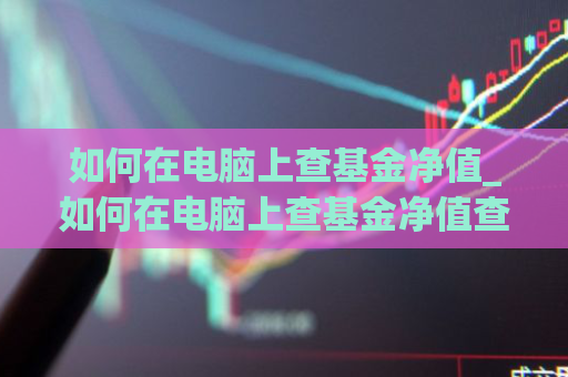 如何在电脑上查基金净值_如何在电脑上查基金净值查询