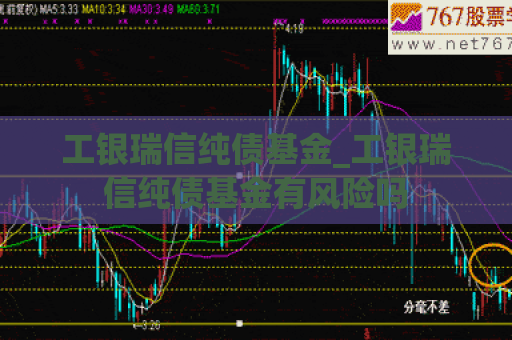 工银瑞信纯债基金_工银瑞信纯债基金有风险吗  第1张