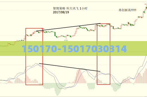 150170-15017030314  第1张