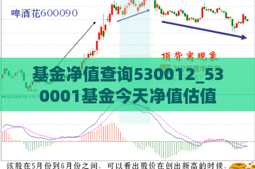 基金净值查询530012_530001基金今天净值估值  第1张