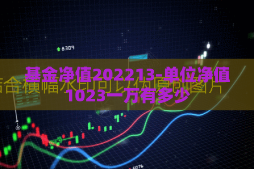 基金净值202213-单位净值1023一万有多少  第1张