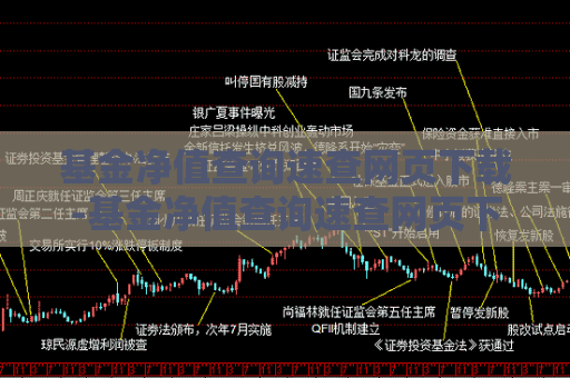 基金净值查询速查网页下载-基金净值查询速查网页下载不了  第1张