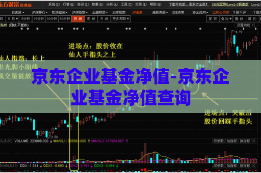 京东企业基金净值-京东企业基金净值查询  第1张