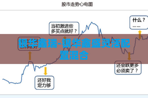 银华鑫瑞-银华鑫盛灵活配置混合  第1张