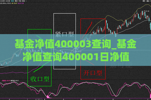 基金净值400003查询_基金净值查询400001日净值  第1张