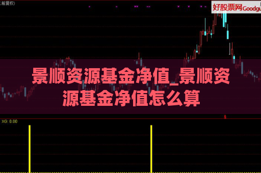 景顺资源基金净值_景顺资源基金净值怎么算  第1张