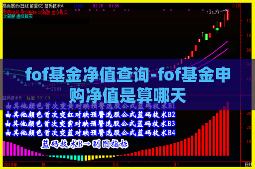 fof基金净值查询-fof基金申购净值是算哪天