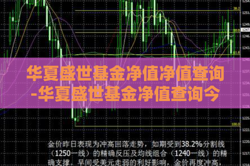 华夏盛世基金净值净值查询-华夏盛世基金净值查询今天最新净值  第1张