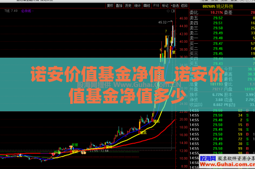 诺安价值基金净值_诺安价值基金净值多少  第1张