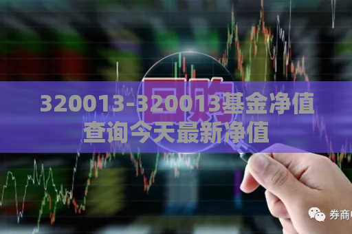 320013-320013基金净值查询今天最新净值  第1张