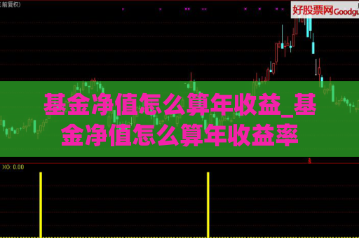 基金净值怎么算年收益_基金净值怎么算年收益率  第1张