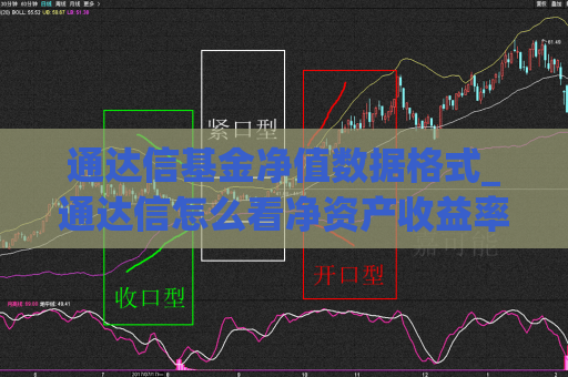 通达信基金净值数据格式_通达信怎么看净资产收益率