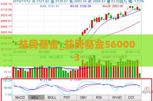 益民基金_益民基金560003  第1张