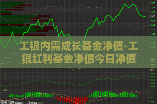 工银内需成长基金净值-工银红利基金净值今日净值  第1张