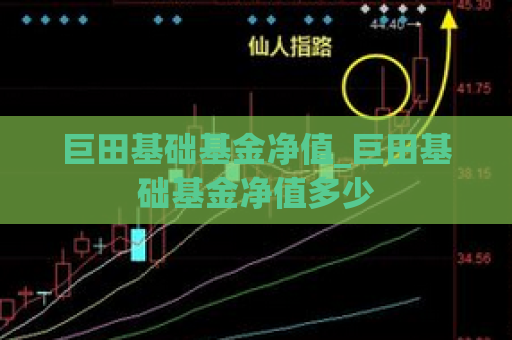 巨田基础基金净值_巨田基础基金净值多少  第1张