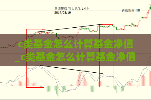 c类基金怎么计算基金净值_c类基金怎么计算基金净值收益