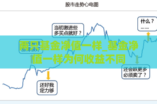 两只基金净值一样_基金净值一样为何收益不同  第1张