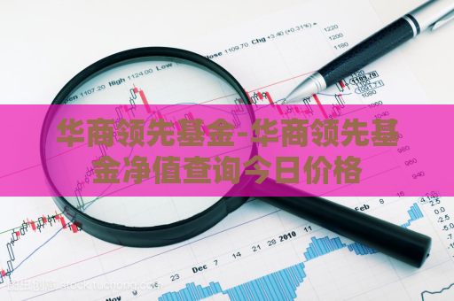 华商领先基金-华商领先基金净值查询今日价格  第1张