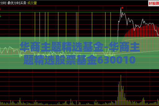 华商主题精选基金-华商主题精选股票基金630010  第1张