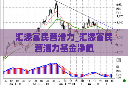 汇添富民营活力_汇添富民营活力基金净值  第1张