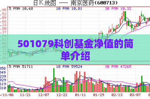 501079科创基金净值的简单介绍  第1张