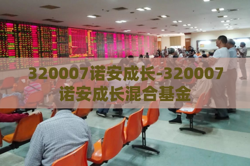 320007诺安成长-320007诺安成长混合基金  第1张