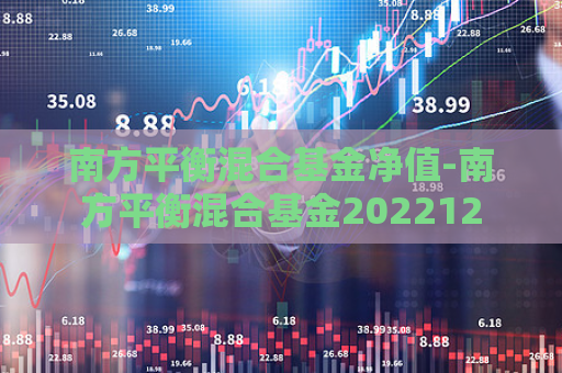 南方平衡混合基金净值-南方平衡混合基金202212  第1张