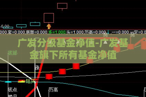 广发分级基金净值-广发基金旗下所有基金净值  第1张