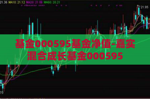 基金000595基金净值-嘉实混合成长基金000595  第1张