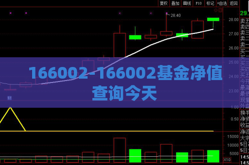 166002-166002基金净值查询今天  第1张