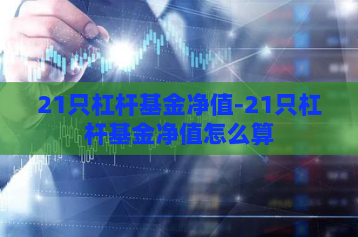 21只杠杆基金净值-21只杠杆基金净值怎么算  第1张