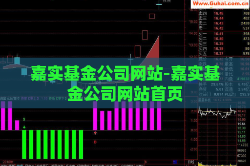 嘉实基金公司网站-嘉实基金公司网站首页  第1张