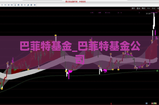 巴菲特基金_巴菲特基金公司  第1张