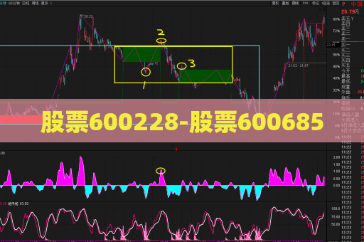 股票600228-股票600685  第1张