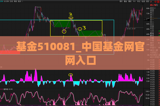 基金510081_中国基金网官网入口  第1张