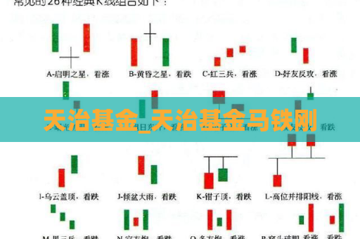 天治基金_天治基金马铁刚  第1张