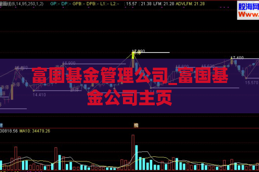 富国基金管理公司_富国基金公司主页