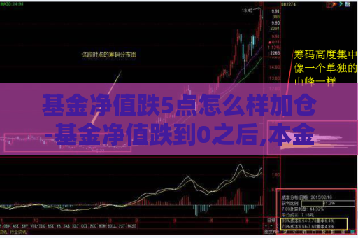 基金净值跌5点怎么样加仓-基金净值跌到0之后,本金是不是就没了  第1张