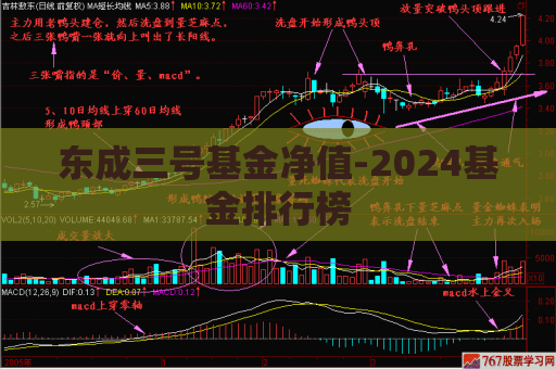 东成三号基金净值-2024基金排行榜  第1张