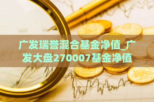 广发瑞誉混合基金净值_广发大盘270007基金净值  第1张