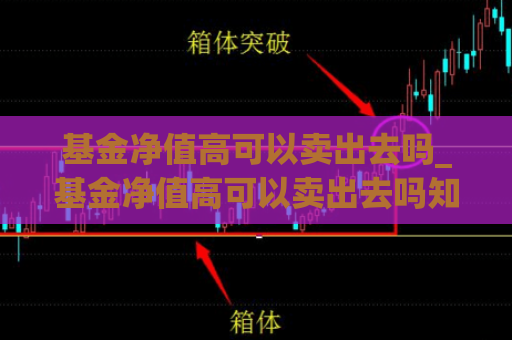 基金净值高可以卖出去吗_基金净值高可以卖出去吗知乎  第1张