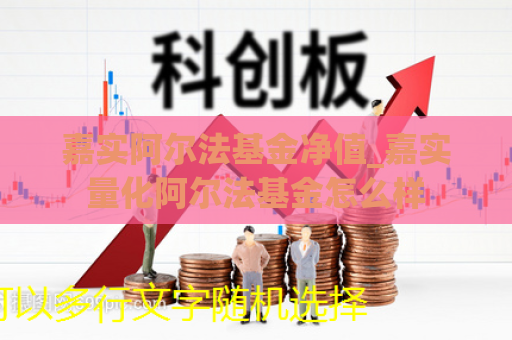 嘉实阿尔法基金净值_嘉实量化阿尔法基金怎么样  第1张