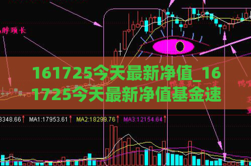 161725今天最新净值_161725今天最新净值基金速查网  第1张