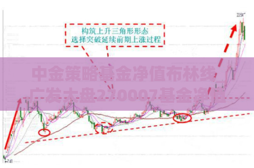 中金策略基金净值布林线_广发大盘270007基金净值  第1张