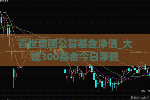 百世集团公募基金净值_大成300基金今日净值  第1张