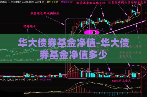 华大债券基金净值-华大债券基金净值多少  第1张