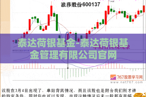 泰达荷银基金-泰达荷银基金管理有限公司官网  第1张