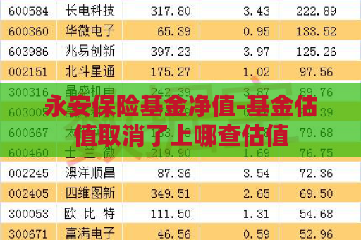 永安保险基金净值-基金估值取消了上哪查估值  第1张