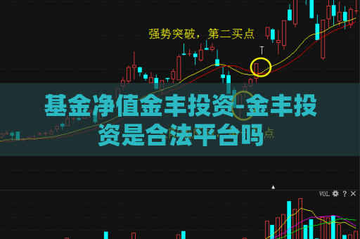 基金净值金丰投资-金丰投资是合法平台吗